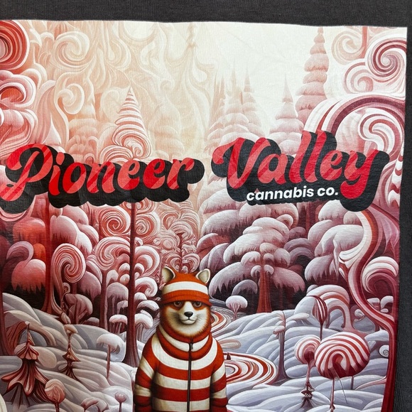 Gildan Men’s Large Pioneer Valley Graphic Long Sleeve T-shirt Grey Fox - Picture 4 of 7